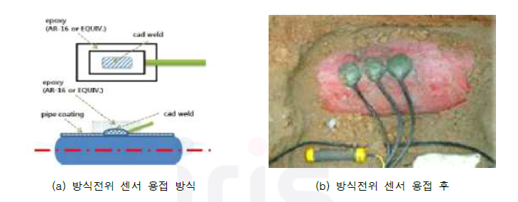 방식전위 센서 연결로 피복이 노출된 강관