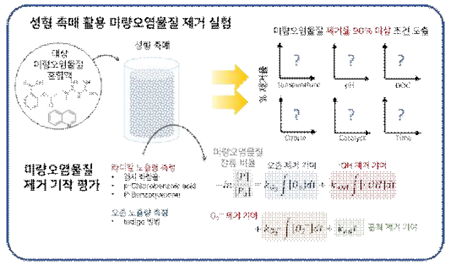 성형 촉매 활용 미량오염물질 제거 실험 및 제거 기작 평가계획