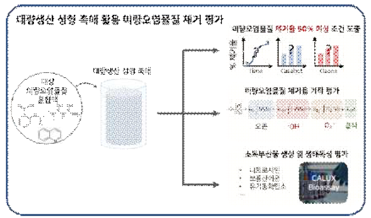 대량생산 성형 촉매 활용 미량오염물질 제거 및 수질 안전성 평가