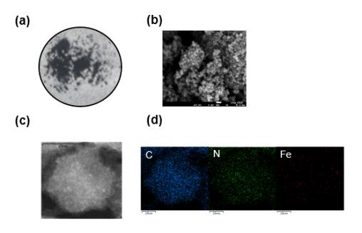 Fe-SAC 촉매의 표면분석 결과 (a) 실제 사진, (b) SEM image, (c) STEM image, (d) EDS image