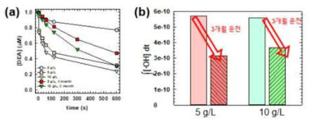 3개월 운전 이후 C3N4-GAC 촉매의 (a) 수산화 라디칼 probe 분해 (b) 최종 수산화 라디칼 노출량 ([O3]0 = 2 ppm, [DEA]0 = 1 uM in B 정수장 여과수)