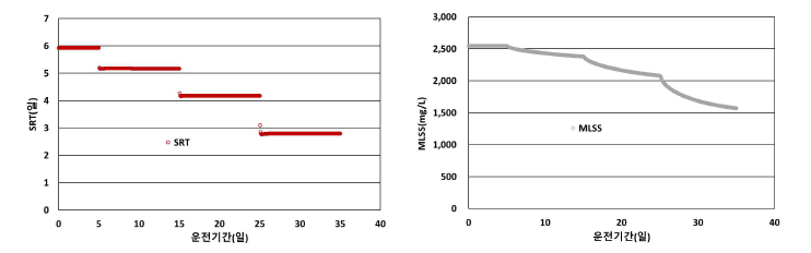반송유량 감소에 따른 시스템 SRT 및 MLSS 변화