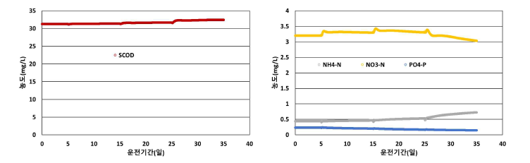 반송유량 감소에 따른 호기조의 용존성 물질 수질 변화