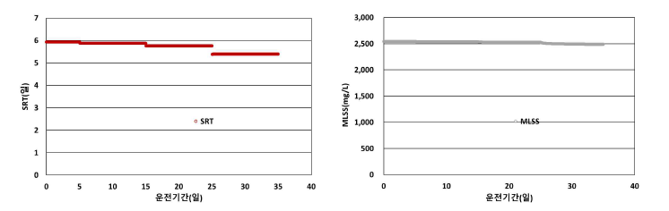 2차 침전조 부분 파괴에 따른 시스템 SRT 및 MLSS 변화