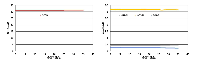 2차 침전조 부분 파괴에 따른 호기조의 용존성 물질 수질 변화