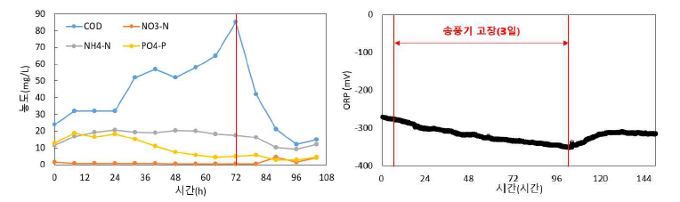 혐기조의 수질 및 ORP 변화
