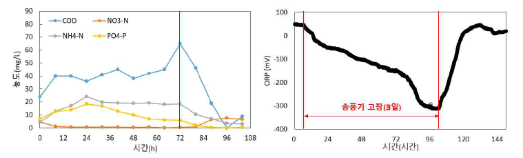 무산소조 수질 및 ORP 변화