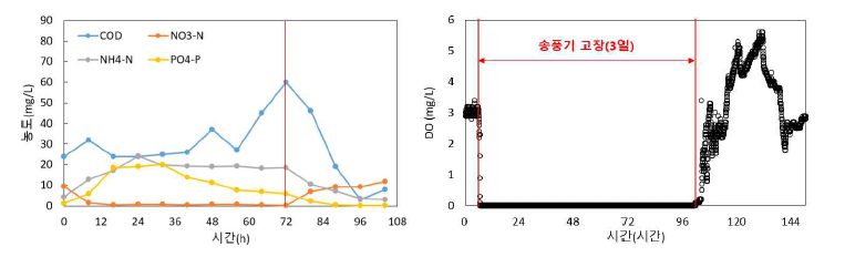 호기조 수질 및 DO 변화