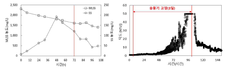 호기조의 MLSS 및 SS 변화