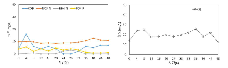 처리수의 수질 및 SS 변화