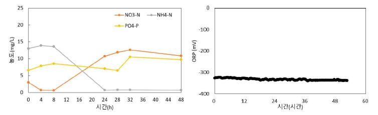 혐기조의 수질 및 ORP 변화
