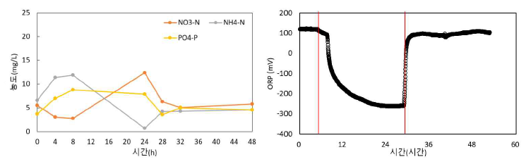 무산소조의 수질 및 ORP 변화