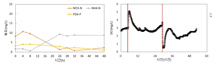 호기조의 수질 및 DO 변화