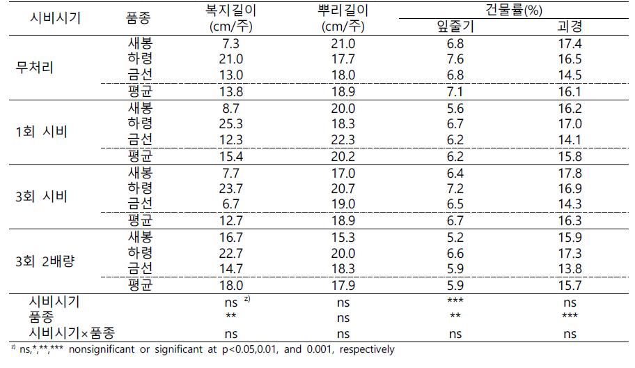 배지경 시비량(시비시기) 시험 식물체 생육 특성(2021)