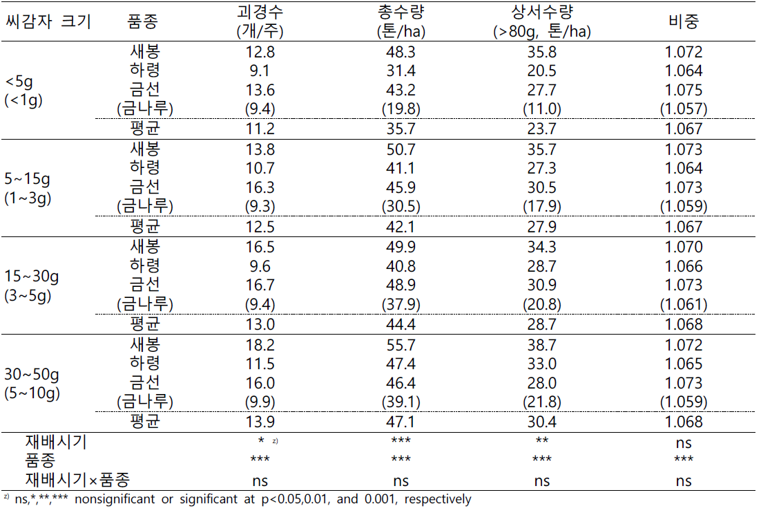 배지경 재배산 씨감자 크기 시험 지하부 생장 특성(2023)