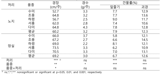 씨감자 채종 횟수 시험 지상부 생장 특성(2022)