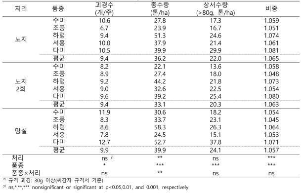 씨감자 채종 횟수 시험 괴경 생장 특성(2023)