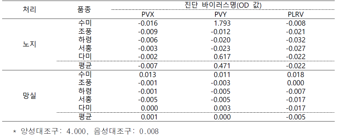 씨감자 채종 횟수 시험 바이러스 검사(ELIZA, 2022)