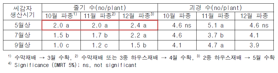 줄기 발생 및 괴경 형성