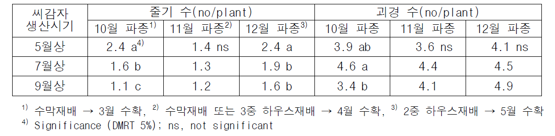 줄기 발생 및 괴경 형성