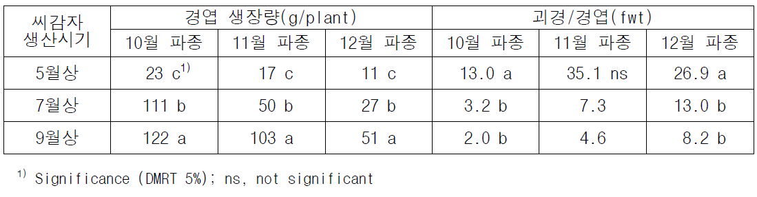 잎줄기 및 괴경 생장 특성