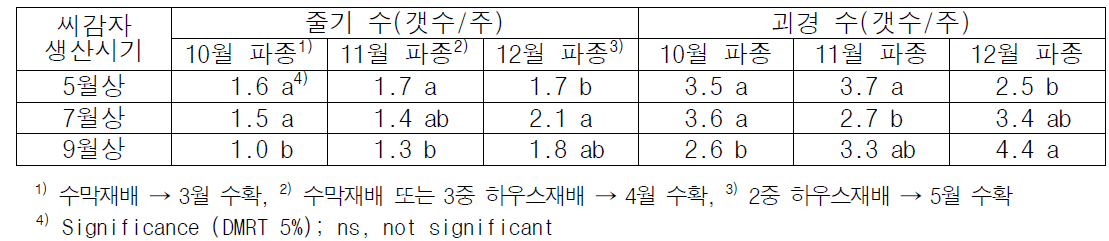 줄기 발생 및 괴경 형성