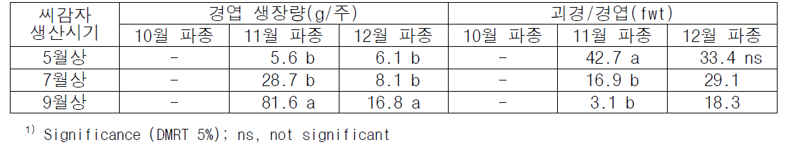 잎줄기 및 괴경 생장 특성