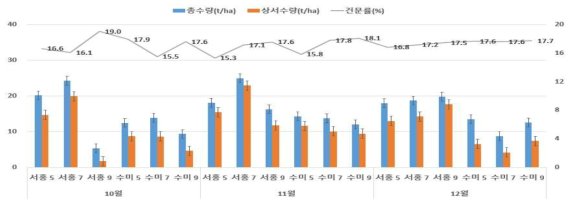 씨감자 생산시기별 감자 수량성 및 감자 괴경 건물률 변화