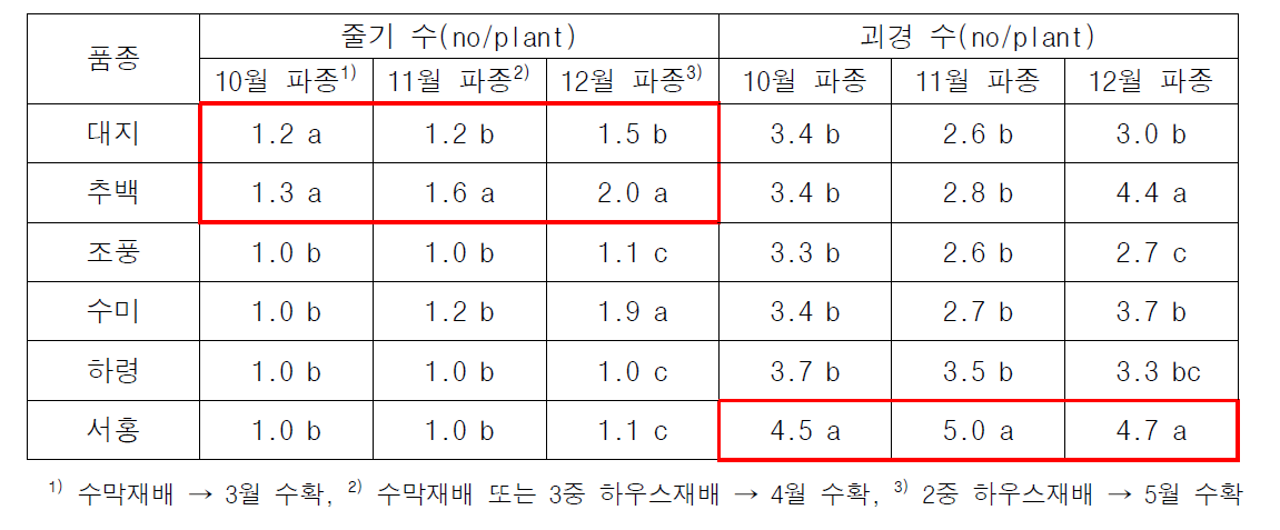 줄기 발생 및 괴경 형성