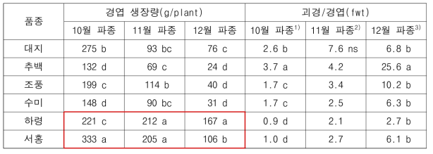 잎줄기 및 괴경 생장 특성