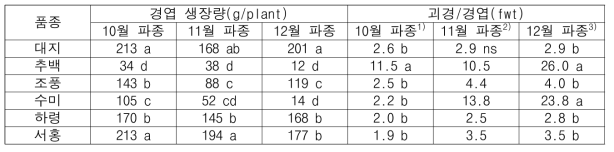 잎줄기 및 괴경 생장 특성