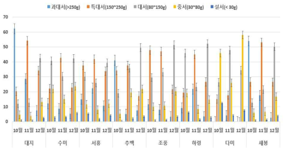 파종시기에 따른 감자 괴경의 무게 분포 비율