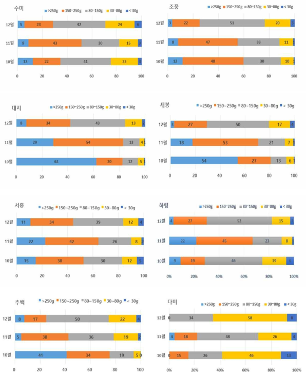 품종별 파종시기에 따른 감자 괴경의 무게 분포 비율