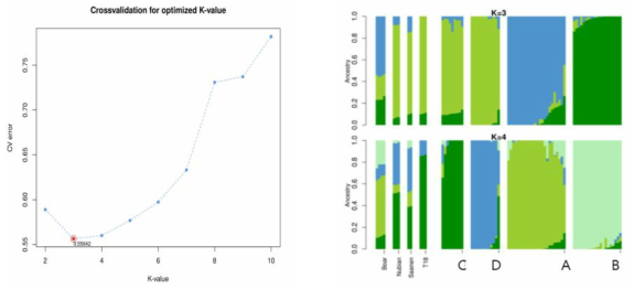 시험농가별 시험축 대상 유전적혼입도(admixture) 분석 결과