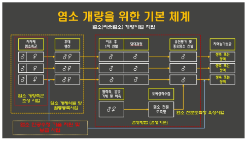 국내 염소 개량을 위한 개량기관 간 협력 기반 개량시스템(안)