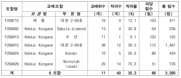 2020년 가공용 냉동감자 대체 우량계통 육성 인공교배 결과