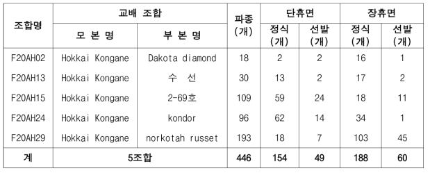 2021년 가공용 냉동감자 대체 실생 2세대 진전 및 우수계통 선발