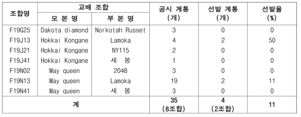 2021년 가공용 냉동감자 대체 실생 3세대 진전 및 우수계통 선발(단휴면)