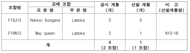 2021년 가공용 냉동감자 대체 실생 3세대 진전 및 우수계통 선발(단휴면)