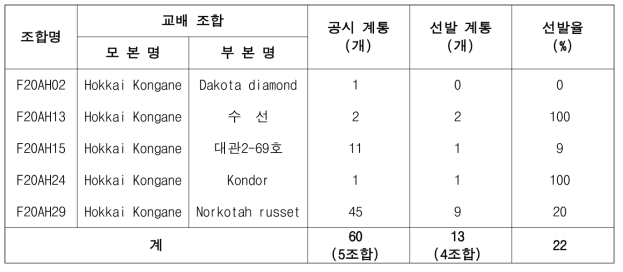 2022년 가공용 냉동감자 대체 실생 3세대 진전 및 우수계통 선발(장휴면)