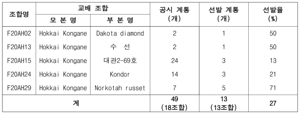 2022년 가공용 냉동감자 대체 실생 3세대 진전 및 우수계통 선발(단휴면)