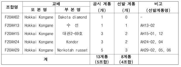 2022년 가공용 냉동감자 대체 실생 4세대 진전 및 우수계통 선발(단휴면)