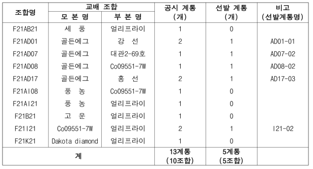 2023년 가공용 냉동감자 대체 실생 4세대 진전 및 우수계통 선발(단휴면)