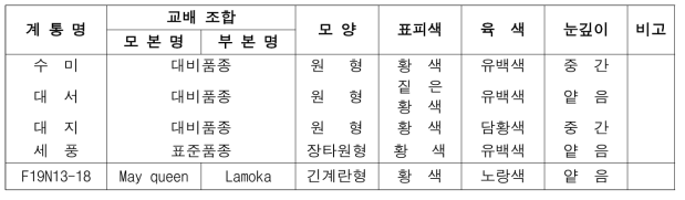 2022년 생산력검정 예비시험 단휴면(2기작) 선발 계통의 형태적 특성