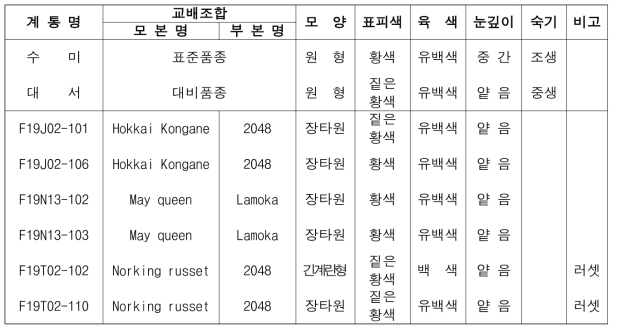 2022년 생산력검정 예비시험 장휴면(1기작) 선발 계통의 형태적 특성