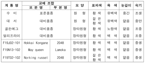 2023년 생산력 검정 본시험 장휴면(1기작) 육성 계통의 형태적 특성