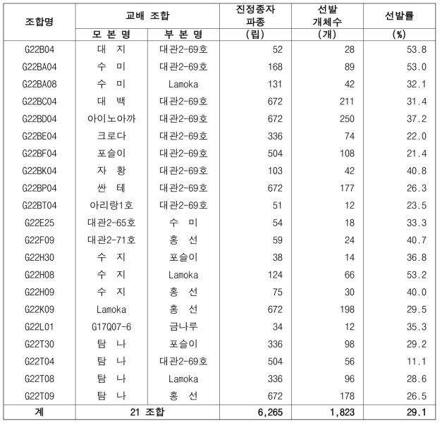 2023년 가공원료용 냉장감자 대체 실생 1세대 및 우수개체 선발