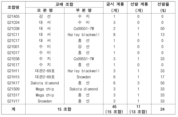 2023년 가공원료용 냉장감자 대체 실생 3세대 진전 및 우수 계통 선발(장휴면)