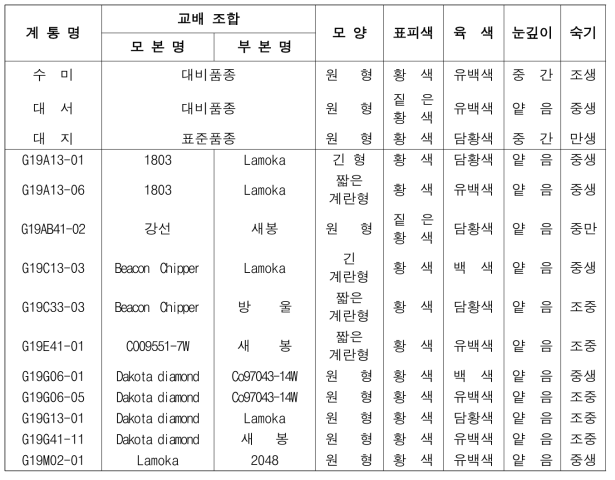 2022년도 생산력검정 예비시험 단휴면(2기작) 선발 계통의 형태적 특성