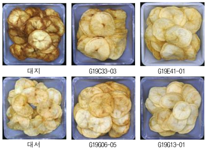 2022년 생산력검정 예비시험 단휴면(2기작) 선발 계통의 감자칩 가공 특성(봄재배)